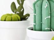 Cactus para agujas