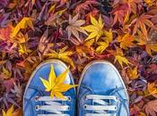 ¡Bienvenido otoño!