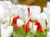 periodo acaba terminar, entonces ¿Por estoy sangrando nuevo? Razones para manchar