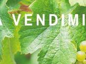 vendimia