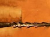 ¿Lanzas antiguas raza humana?