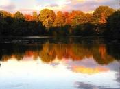 Cómo fotografiar otoño: consejos