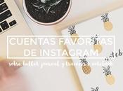 cuentas favoritas Instagram sobre bullet journal Traveler’s Notebook
