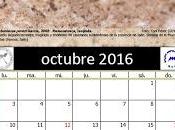Calendario AeE-GEV Octubre 2016