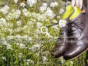 Musgo Zapatos Ecológicos. Nueva colección Otoño Invierno 2016