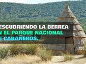 Parque Nacional Cabañeros: Ruta Berrea