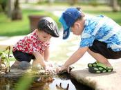 ¿Qué exactamente desarrollo habilidades sociales?