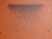 Vicente Muñoz Álvarez: (2):