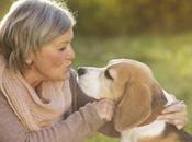 #perro prefiere premies caricia comida #Mascotas #Animales