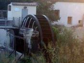 Gemidos huerta Benijófar