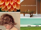 www.decoratualma.com