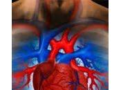 Convierten forma directa células piel cardiacas