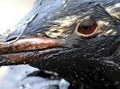 Derrame petrolero cierra Puerto Caucedo Dominicana