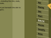 Cómo envejece cuerpo