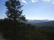 pista blanca