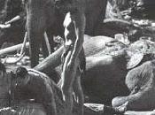 ritos funerarios animales: ¿duelo fuente información?