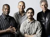 YellowJackets Clamores