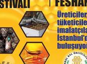 ISTAMBUL ARICILIK ÜRÜNLERI FESTIVALI FESTIVAL ESTAMBUL APICULTURA PRODUCTOS COLMENA