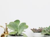 nórdicos para hacer pintura spray ¿pintar sillas maceteros efecto cemento?