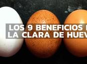 beneficios clara huevo allá qu...