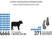 Industria cárnica, alternativas vegetales carne cultivada
