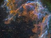 ✨ngc