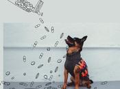 drive crazy, nuevo Pepito&amp;Co.