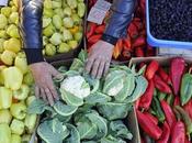 Comida barata. Buena para bolsillo, agricultura