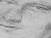 resumen circular blogosfera