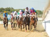 Caballos vuelven Hipódromo Hermanas