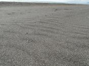 Desierto
