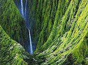 rutilante cascada...