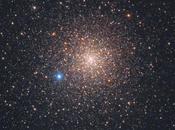 ✨NGC 6752 Rolf Olsen