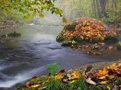 sabido duerme otoño...
