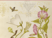 sorprendente aclamado debut autora noruega Maja Lunde, está siendo publicado países.