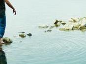 precio tomar acción