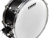 Parches Evans