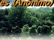 Tres arboles