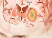 célula cancerígena respeta normas división: proteína