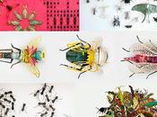 Bichos, primera colección TROL