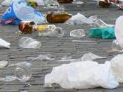 Dimite jefe Policía Local pueblo donde murió niña años coma etílico