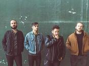 Descubre Shepherd nuevo single doesn’t matter’