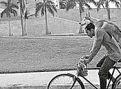 Fidel