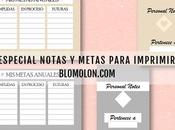 Especial Notas Metas Para Imprimir