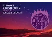 Purple Elephants Ramblings Siroco