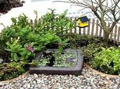 Visto Internet: Jardines miniatura