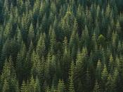 FREE PHOTOS: fotos descargadas Unsplash.com