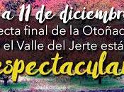 OTOÑADA 2016 entra recta final Valle Jerte deslumbrante diciembre)