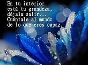 Tener coraje alla, stuart wilde