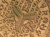 crop circle ansty